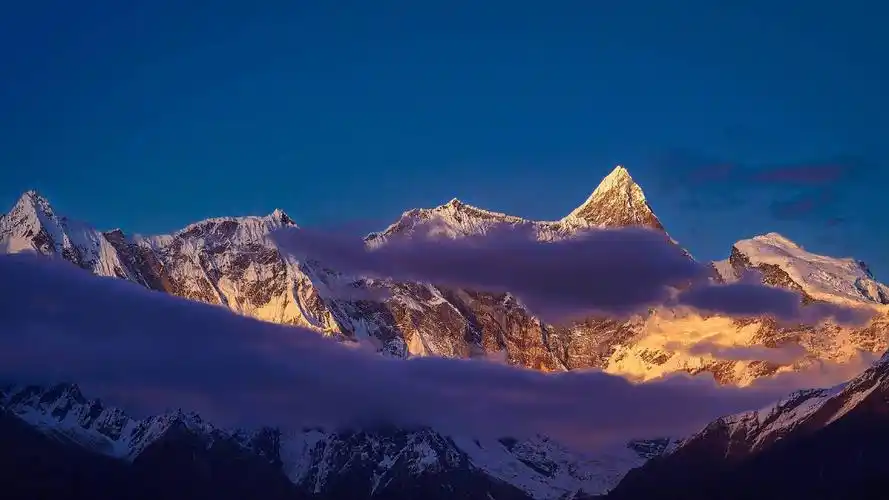 2020年不寻常的一年 文字:秋之水