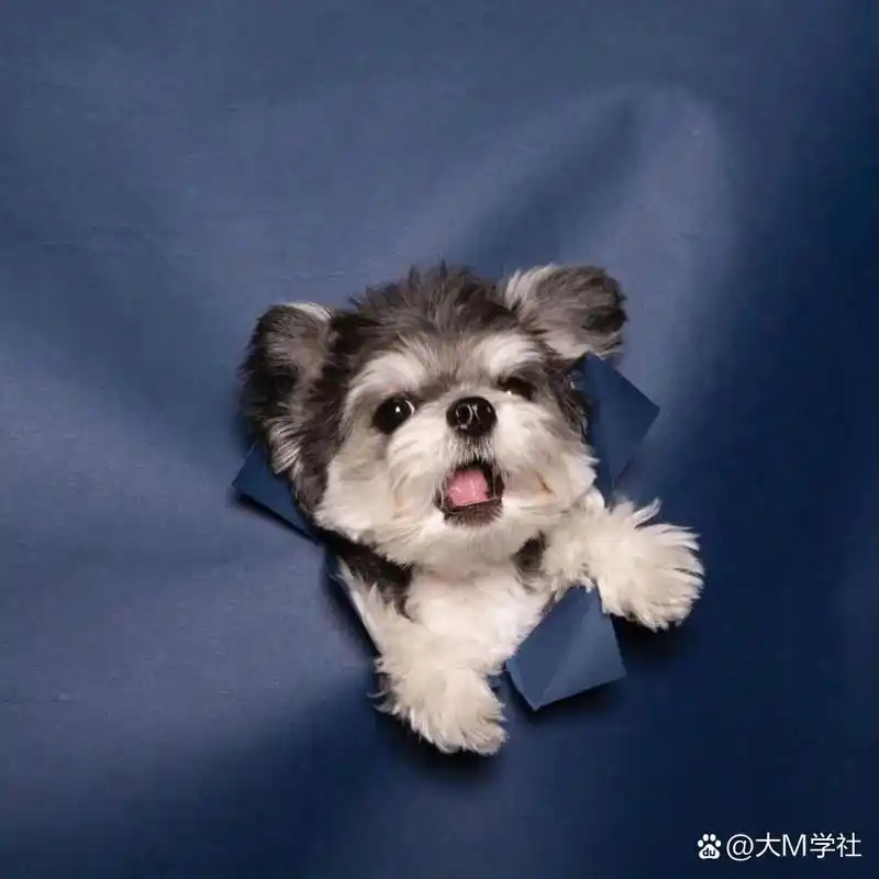 头像集丨超可爱的萌系头像 我喜欢很多东西,我也讨厌很多东西.