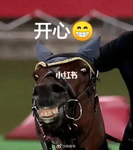 这马的表情好欠揍啊