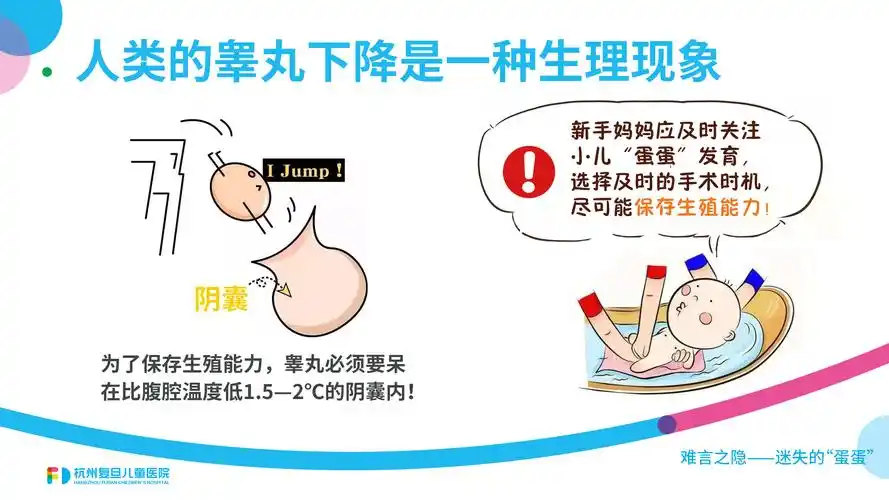 男宝宝迷失的"蛋蛋"难言之隐