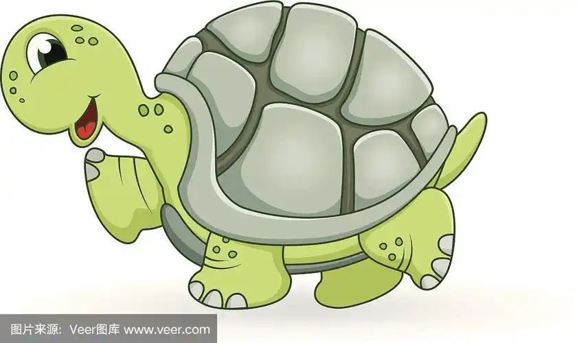 乌龟卡通