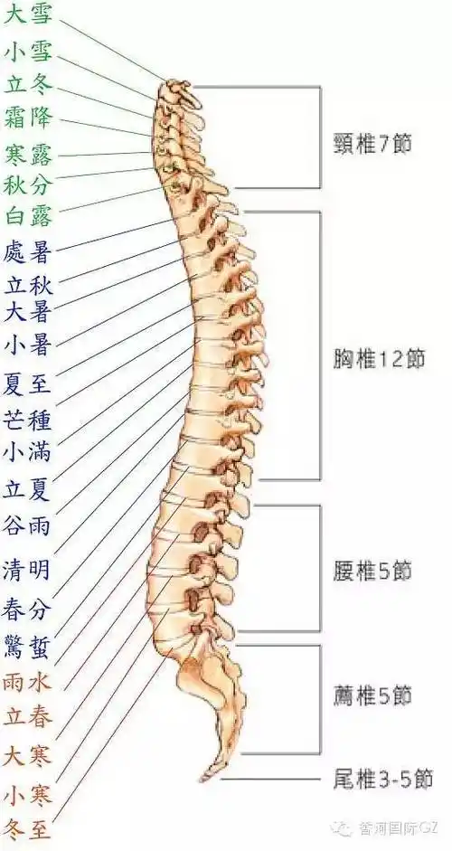 544_1024竖版 竖屏