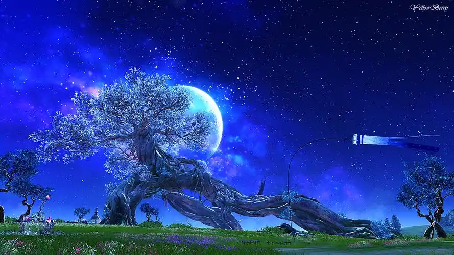 剑灵24人风之平原夜景美如画