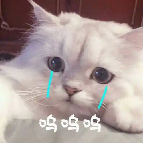 像我这种萌新,看谁都是敌人_表情包_斗图图片