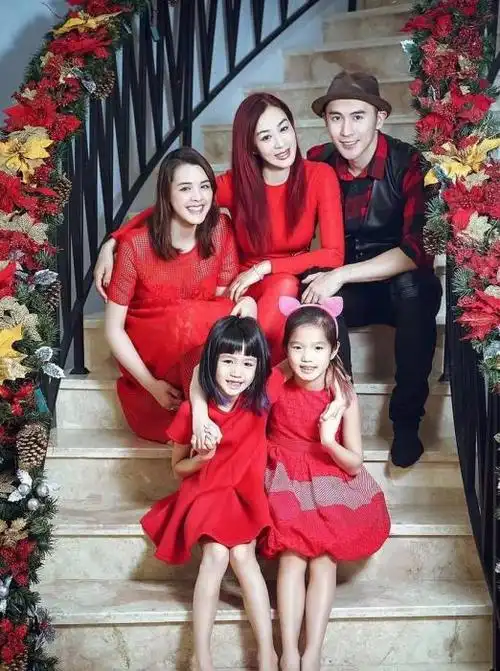 钟丽缇为拍戏错失怀第四胎(钟丽缇拍意外透露称有弟弟)(5)