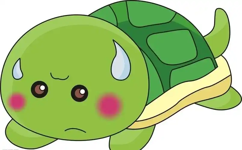 千年王八万年龟