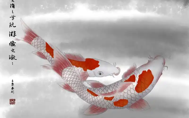 工笔鲤鱼2