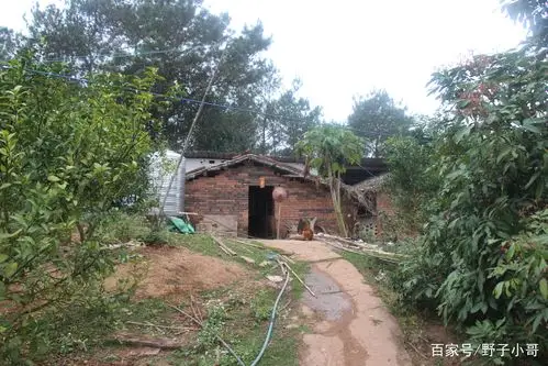 实拍大山深处农村人家的真实生活,这个你看了怎么想?