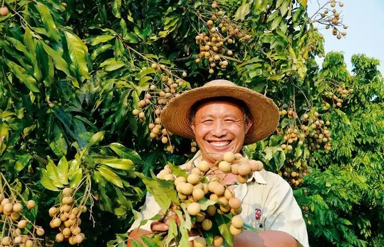 抢新鲜首届中国农民丰收节来啦带你邂逅江津最美秋色