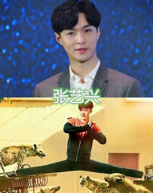男明星的一字马,华晨宇还好,杨洋难挑战,看到张艺兴:这么轻松吗