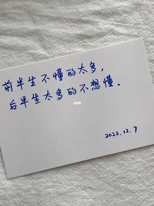 手写前半生后半生