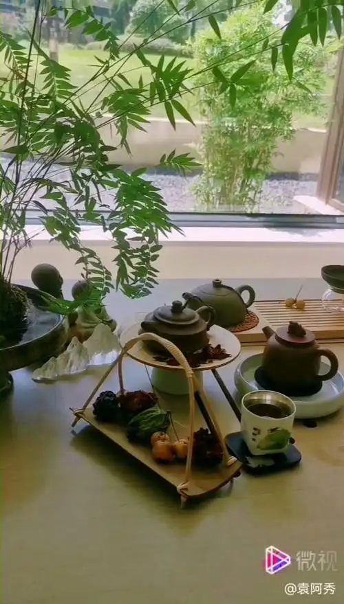 91品茶,品山品水品人生～95