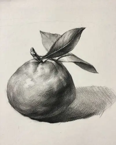 画素描把橘子画得丑陋不堪怒撕画纸后果然画得比以前好