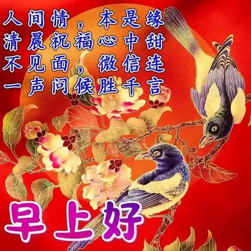 2023年11月13日星期一最新早安漂亮问候图片大全_祝福_短信_关怀