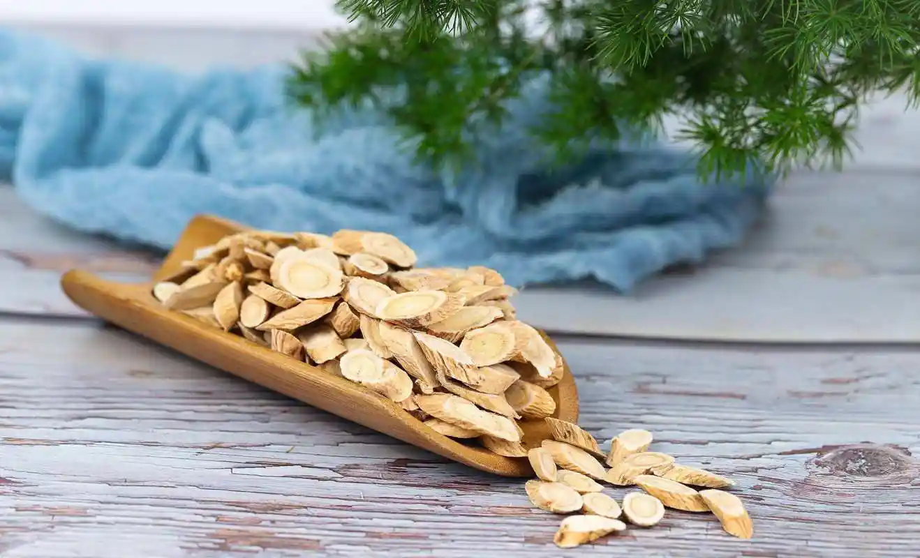 黄芪图片(黄芪图片大全高清图片 植物图片)