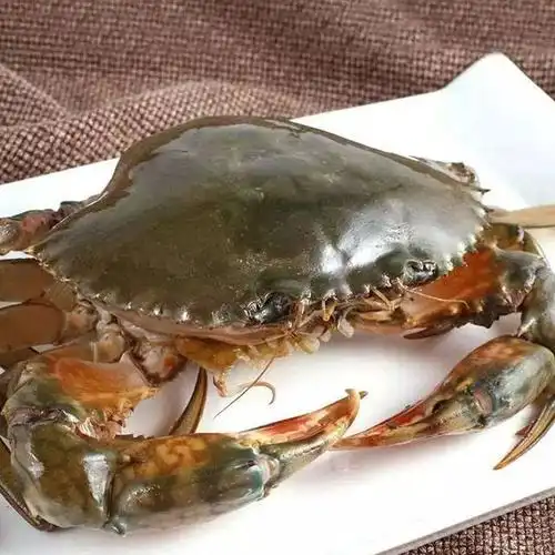 海口这家蒸汽海鲜真的很争气!