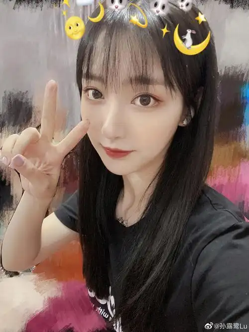 搬新的选手机场图孙露鹭