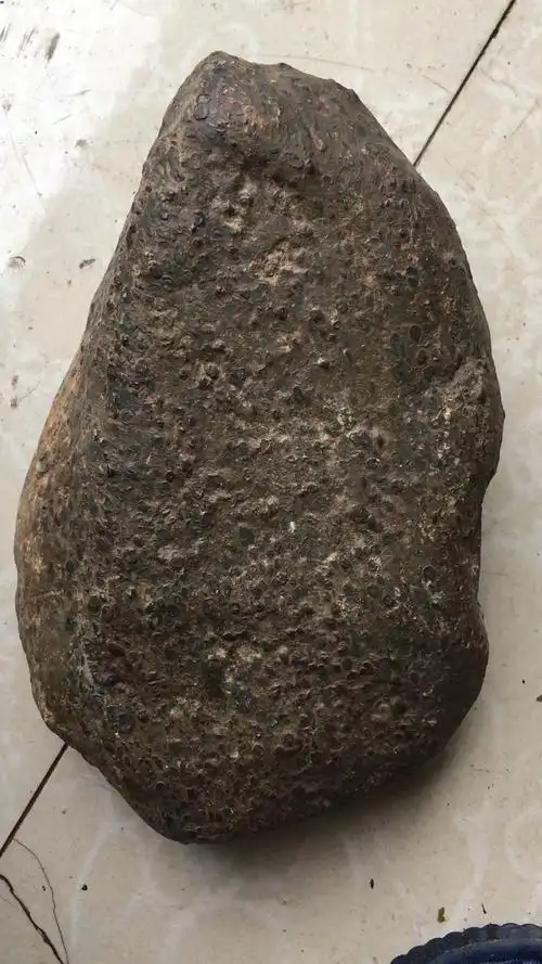 这颗球粒陨石重9.6斤弱磁