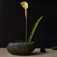 禅意修心微信头像图片大全点击鼠标右键下载