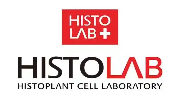 德玛贝尔面膜的适宜人群和用法介绍