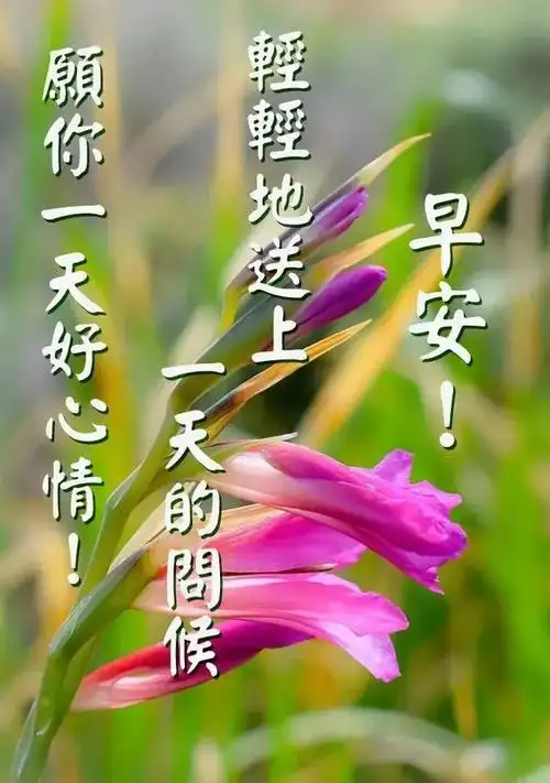 早上好图片带字带祝福语2021秋日清晨友谊早安问候语图片文字