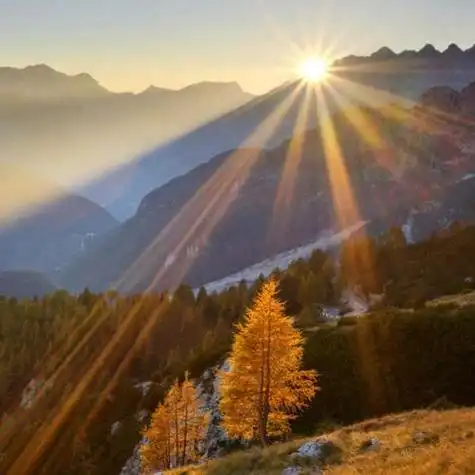 美丽阳光风景头像图片