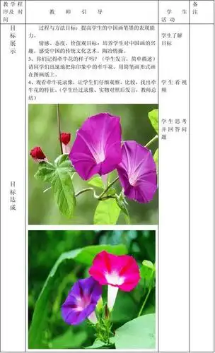 中国画牵牛花1