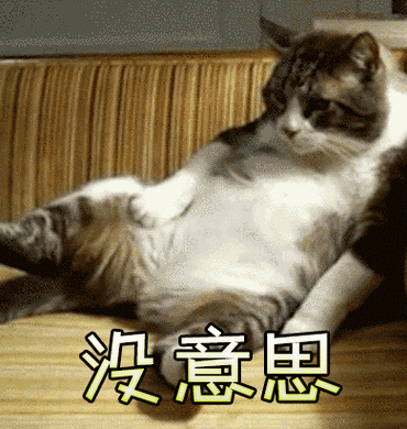 猫养久了,你会发现这些"神奇现象",很多主人中招了!