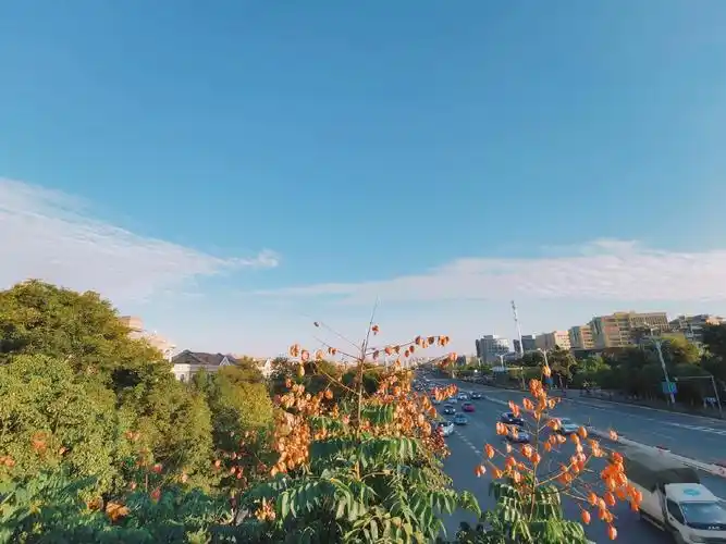 生活日常·喜欢有阳光的日子.晒一些照片,也晒晒太阳.