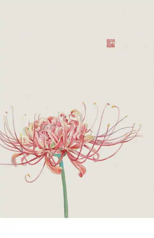 花瓣,陪你做生活的设计师