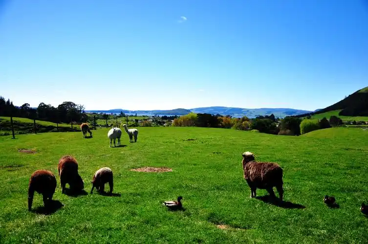 双国假期系列~~澳洲 新西兰 大堡礁(黄金海岸进凯恩斯