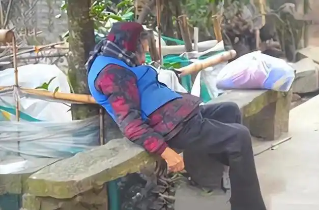 奇案:85岁老母哀嚎一夜,却冻死儿子家门口,4个不孝子全部判刑