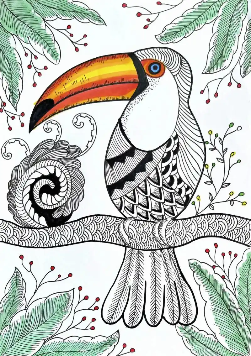 猫头鹰老师投稿#巨嘴鸟#线描#线描装饰画 - 抖音