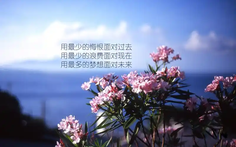 追逐梦想唯美创意文字图片高清壁纸