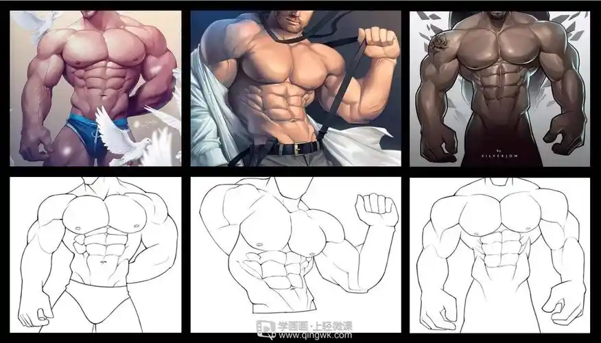作业:如何学画手绘动漫人物之男性肌肉画法与训练技巧 - njbhgvcffdrt