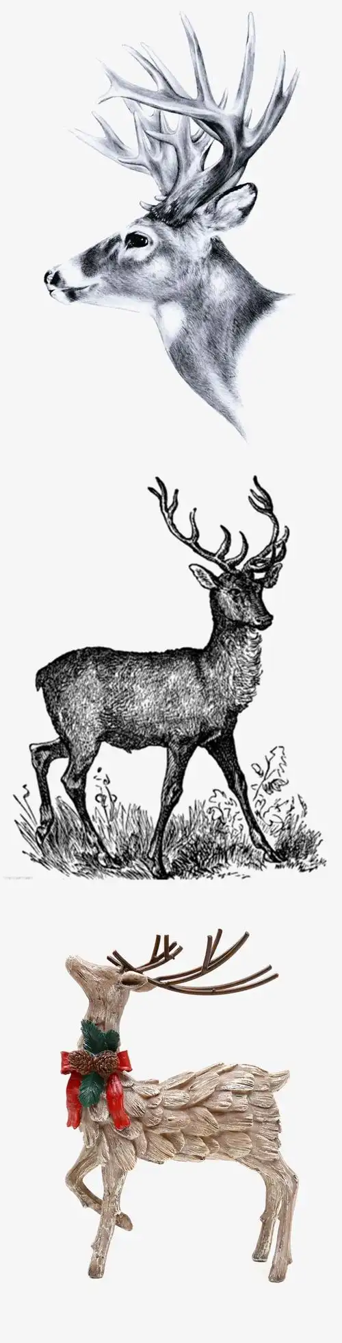 手绘鹿素材免费下载 插画 手绘鹿 手制 插画