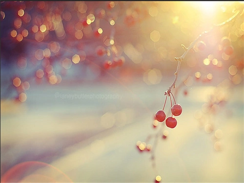 温暖治愈系图片唯美暖色治愈系意境图片素材