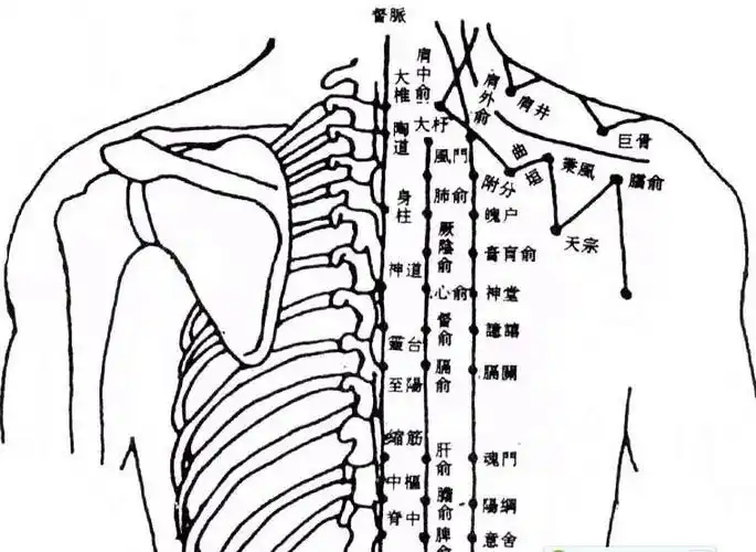 专家求助,关于刮痧 .