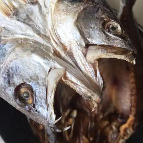 包邮台山特产广海咸鱼开边三牙咸鱼三齿鱼渔家自晒海味干货500克