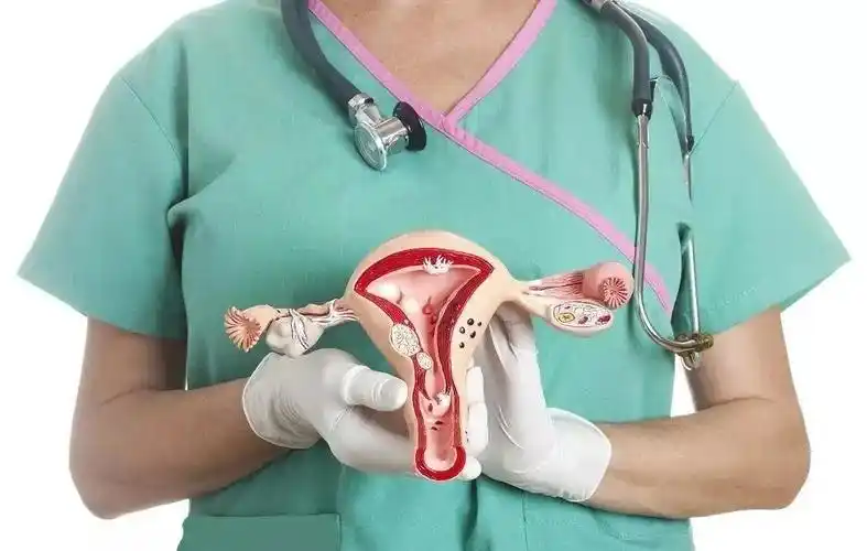 上有三分之一的财富都是由女性市场产生的,从美发到美容,从美体到私密