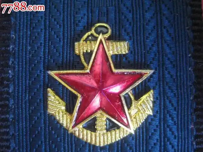 稀有无八一版海军文职肩章