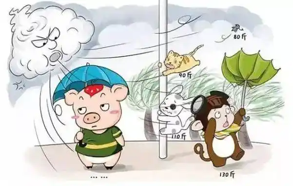 这条标题被宣威的大风刮跑了.