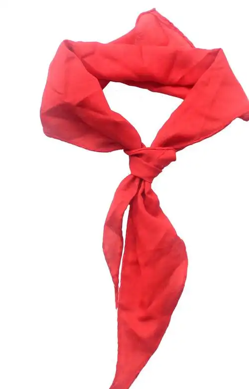 小学生采购/红领巾加长/棉纱10027少先队红领巾三角旗图片