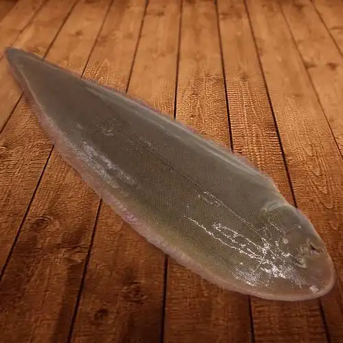 聚福鲜鲜活海鲜冷冻(鲜活冷冻龙利鱼750g)踏板鱼新鲜大龙利鱼