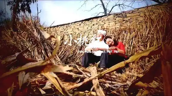 陕北民歌小桃红演唱纪军军