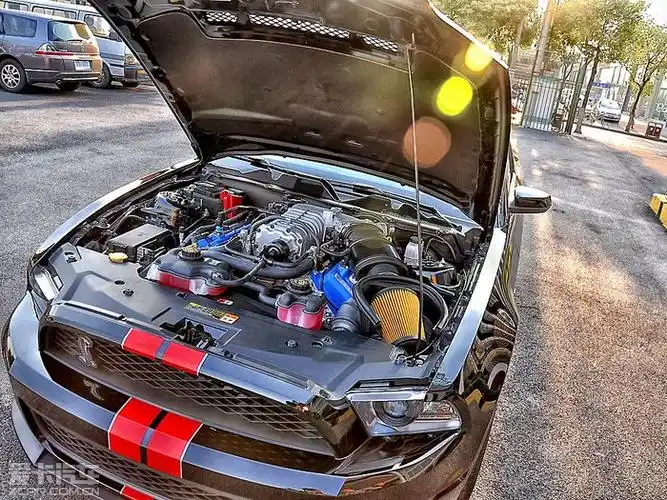 福特野马gt500shelby图片