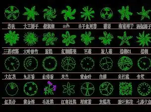 cad棕榈灌木图例