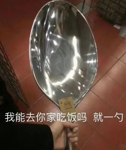 可以去你家蹭饭吗▼还是碗太小了…我现在是该怪勺子太大好呢左边我买