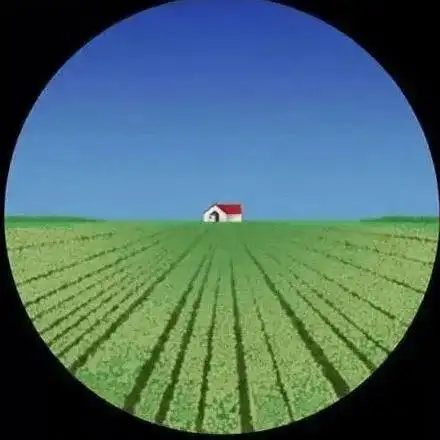 电脑验光时看到的小房子,有什么用?_调节_图标_照片