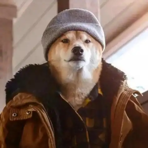 高冷动物头像男生 男生头像图片大全 -【爱个性】